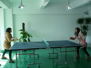 新天会展 专业设计赋能，打造卓越展览会议体验